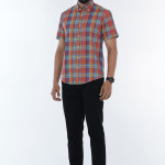 Men's Cotton Normal Sleeve Button Down Shirt